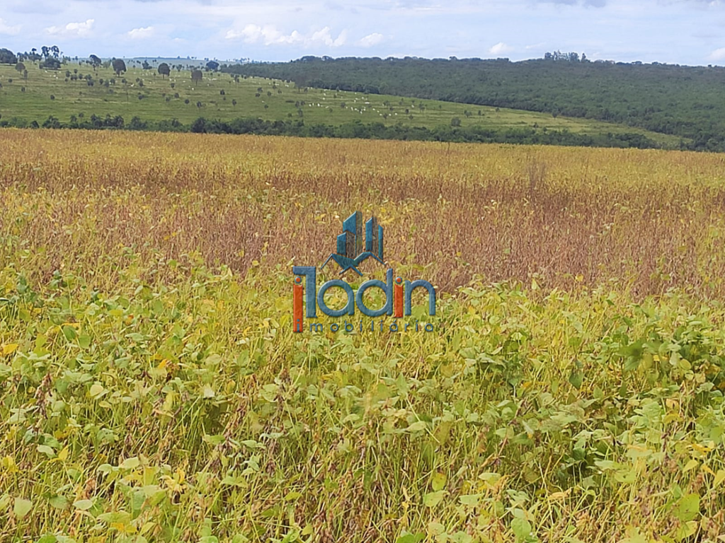 Iladin Imobiliária em Toledo PR