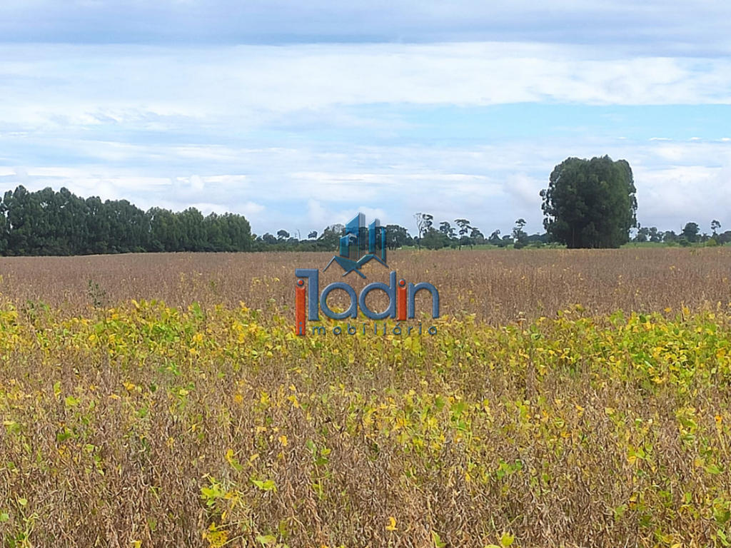 Iladin Imobiliária em Toledo PR