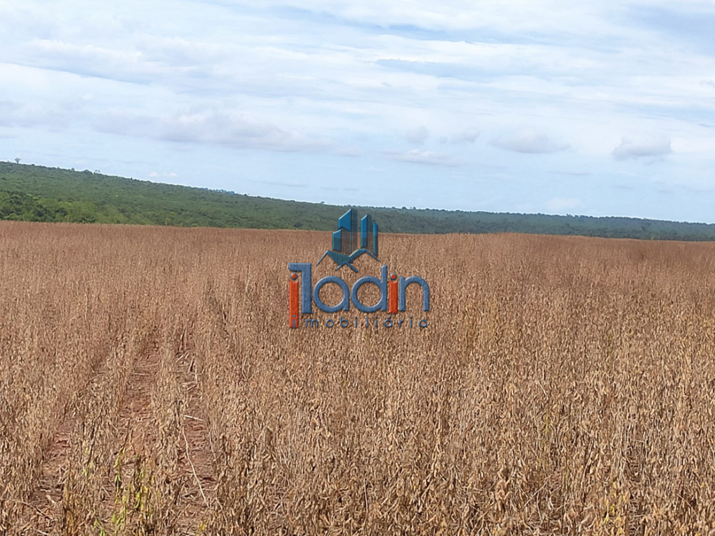 Iladin Imobiliária em Toledo PR