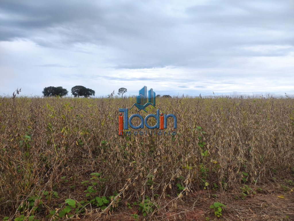 Iladin Imobiliária em Toledo PR