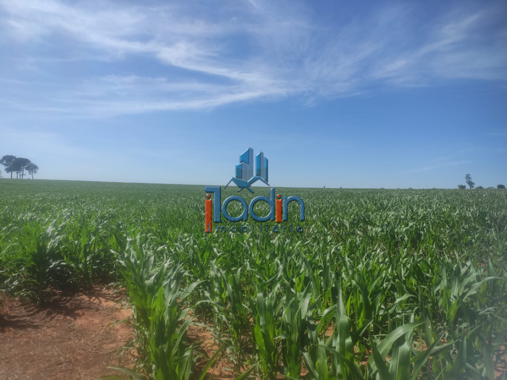 Iladin Imobiliária em Toledo PR