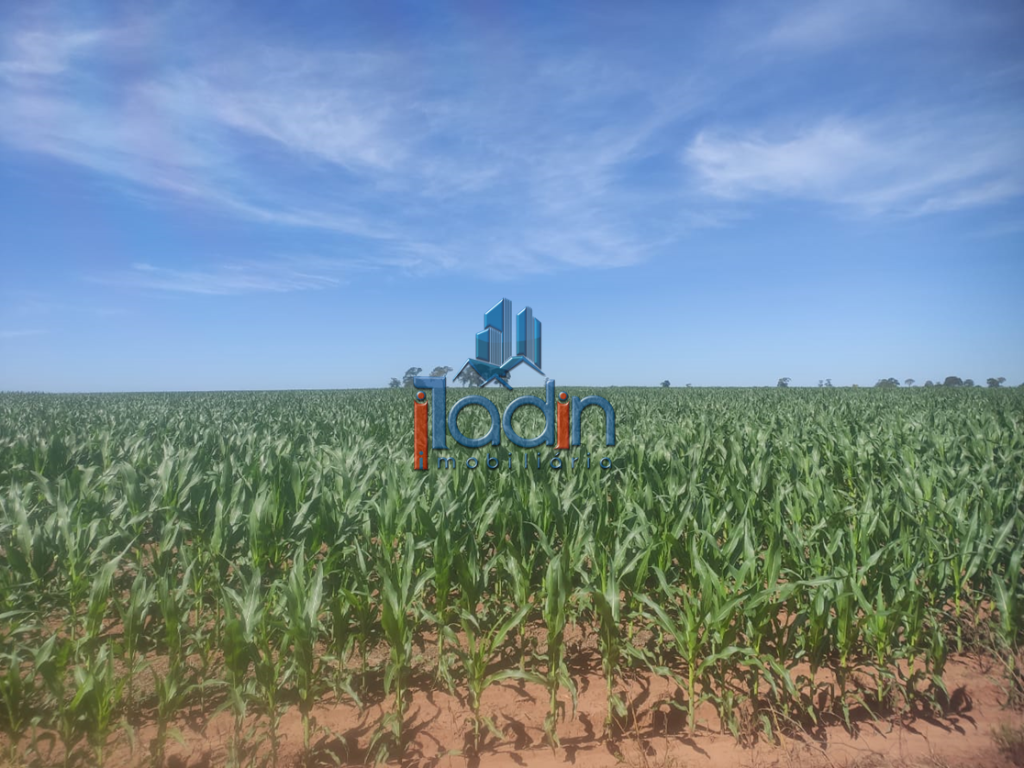 Iladin Imobiliária em Toledo PR