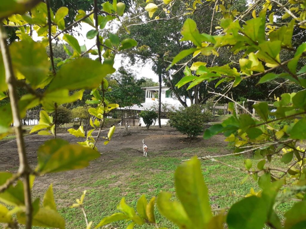 Excelente S?tio no Iranduba