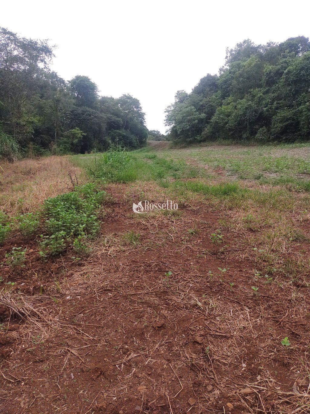 ?rea de terra a venda no munic?pio do Vere,  PR. 