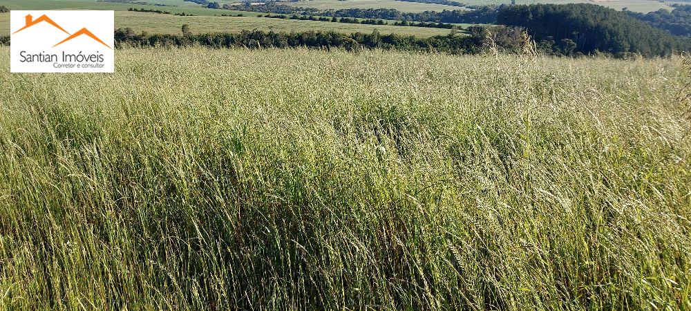 Santian Imveis em Mangueirinha - PR e Regio