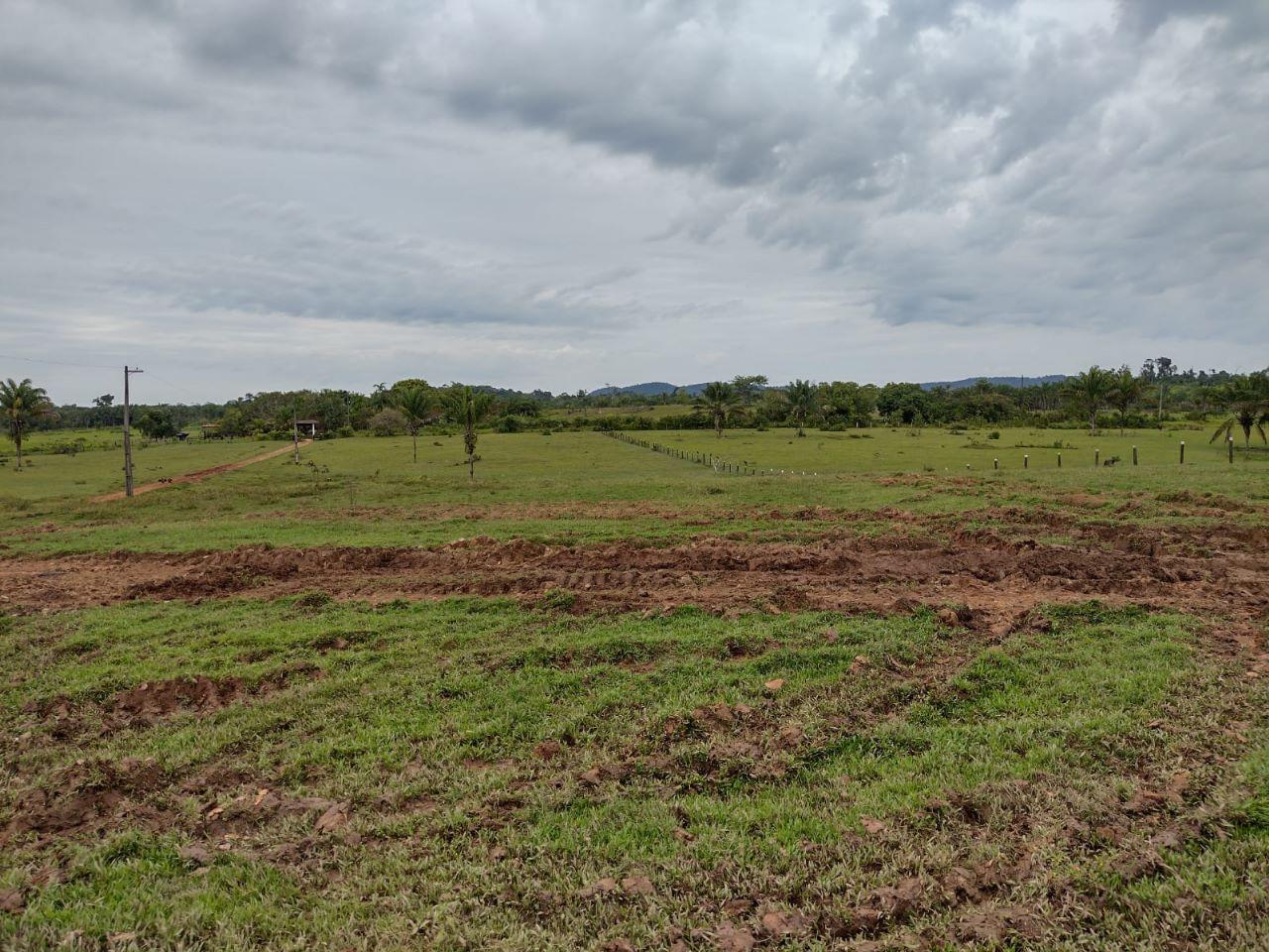Fazenda à venda, zona rural, BOA VISTA - RR