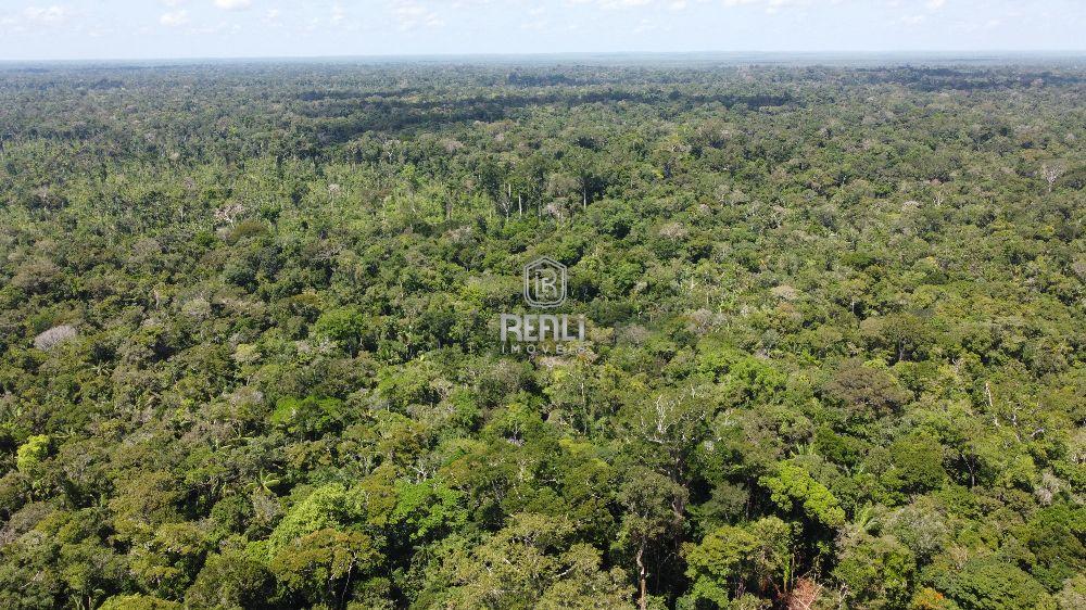 Fazenda em Roraima a venda 1456 hectares