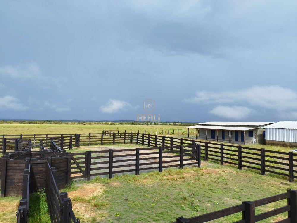 FAZENDA DE 2365 HECTARES NO AMAJARI