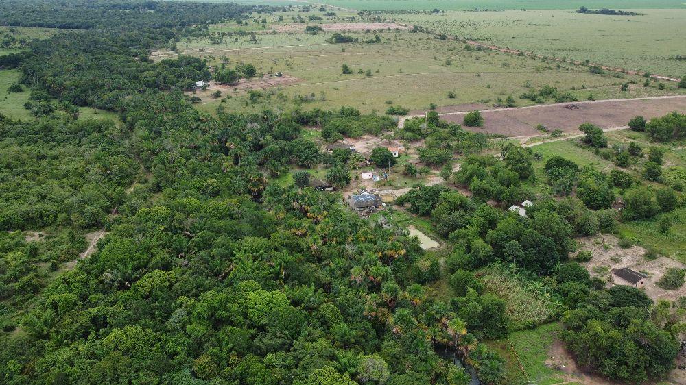 Sitio de 100 hectares a venda em Roraima