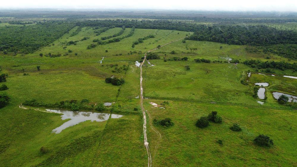 Fazenda de 1481 hectares em Roraima