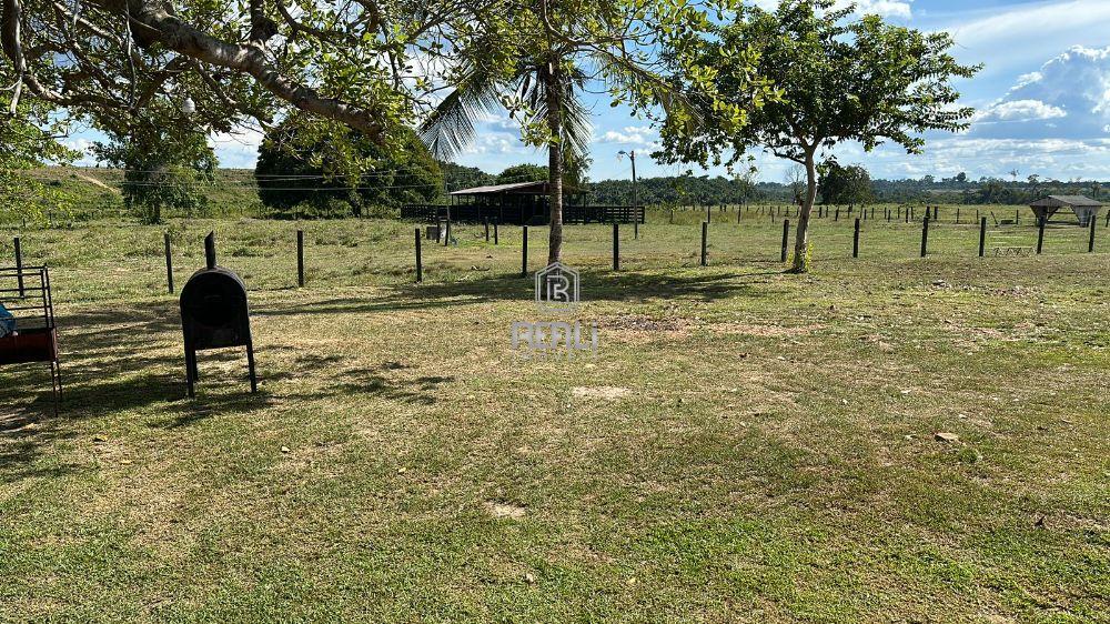 Fazenda 140 hectares