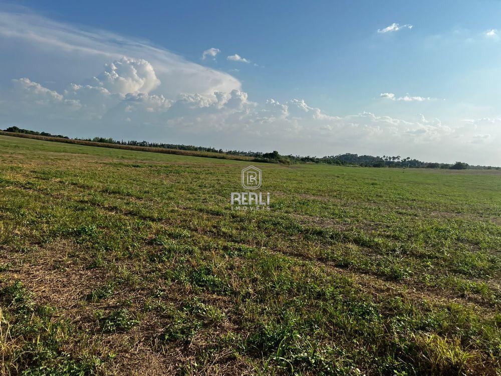 Fazenda 300 hectares