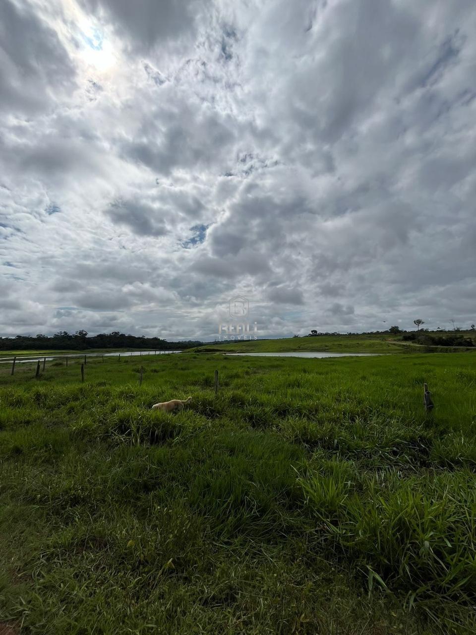 Fazenda 800 hectares