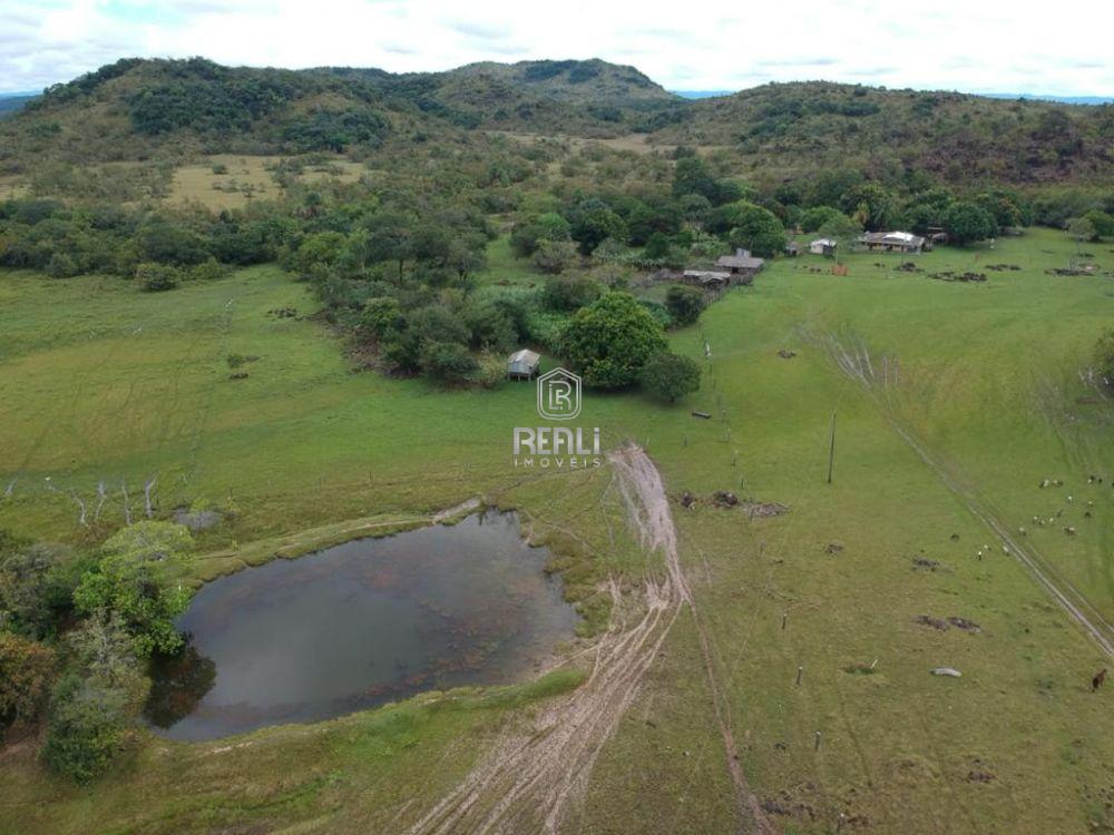 Fazenda 1600 hectares