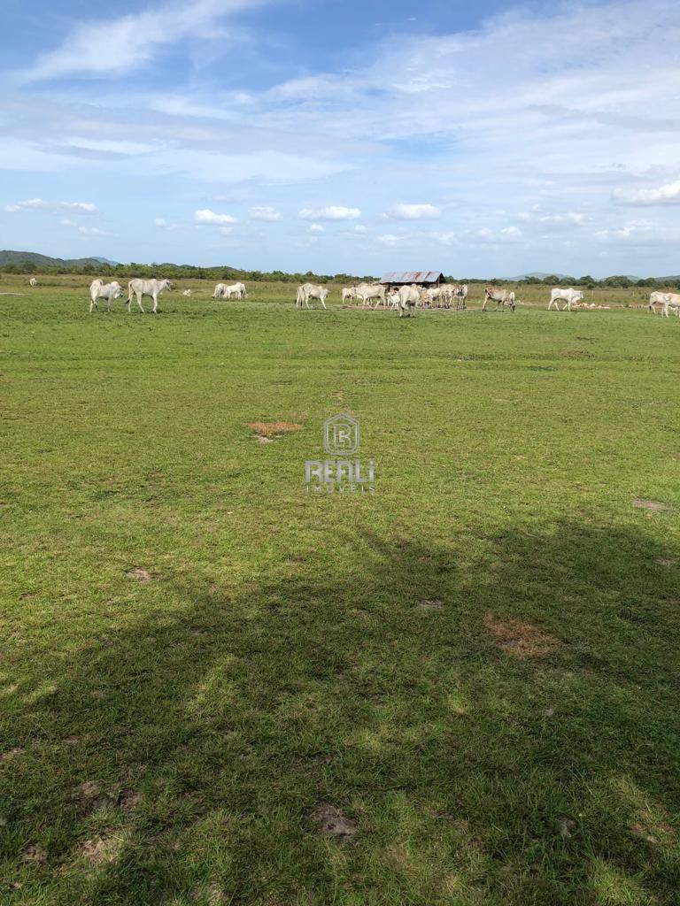 Fazenda 4100 Hestares