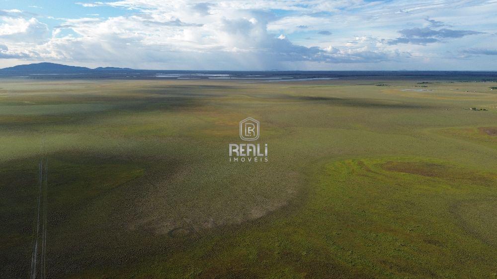 Fazenda 1900 Hectares
