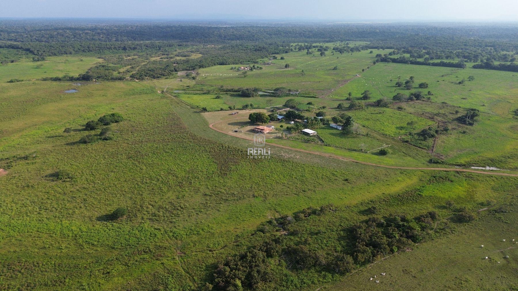 FAZENDA EM RORAIMA DE 706 HECTARES