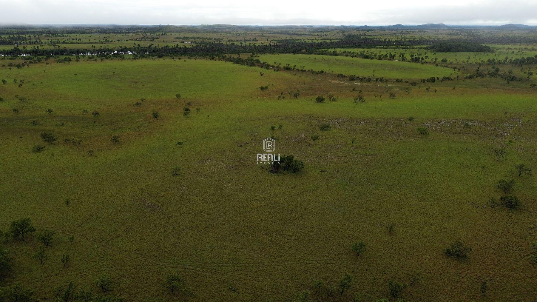 FAZENDA EM RORAIMA DE 4556 HECTARES