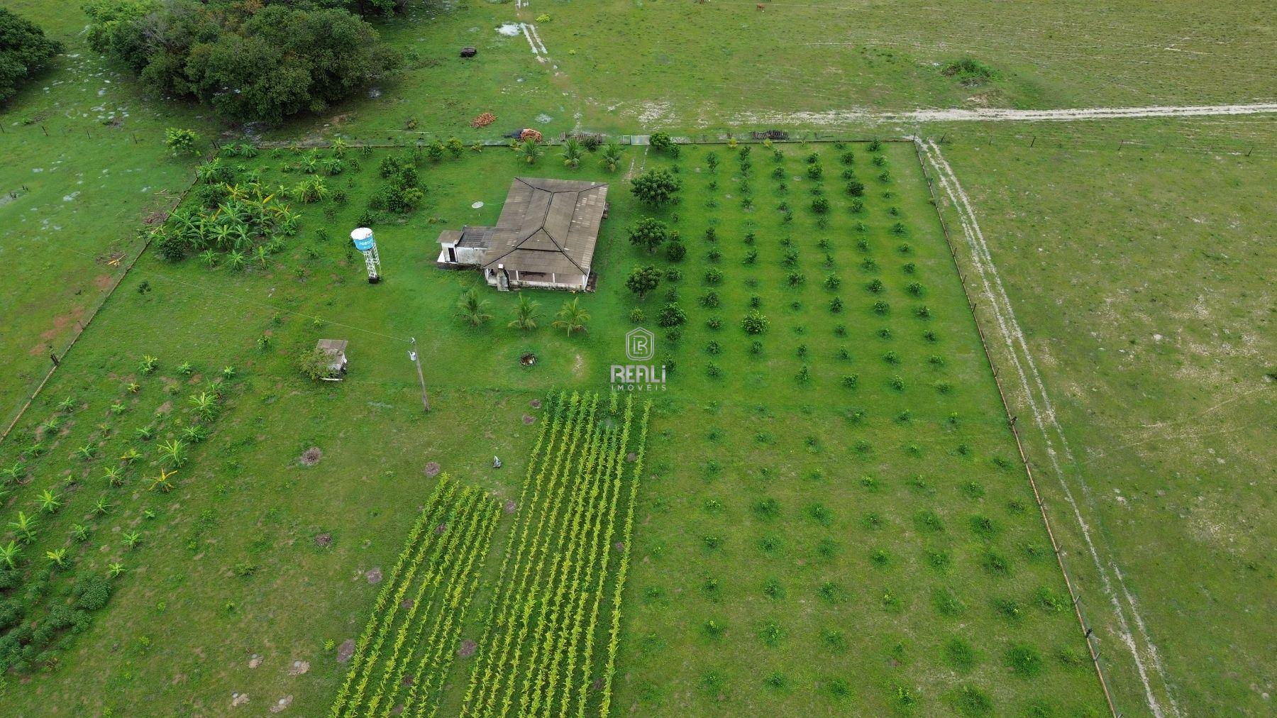 FAZENDA A VENDA EM RORAIMA DE 4298 HECTARES