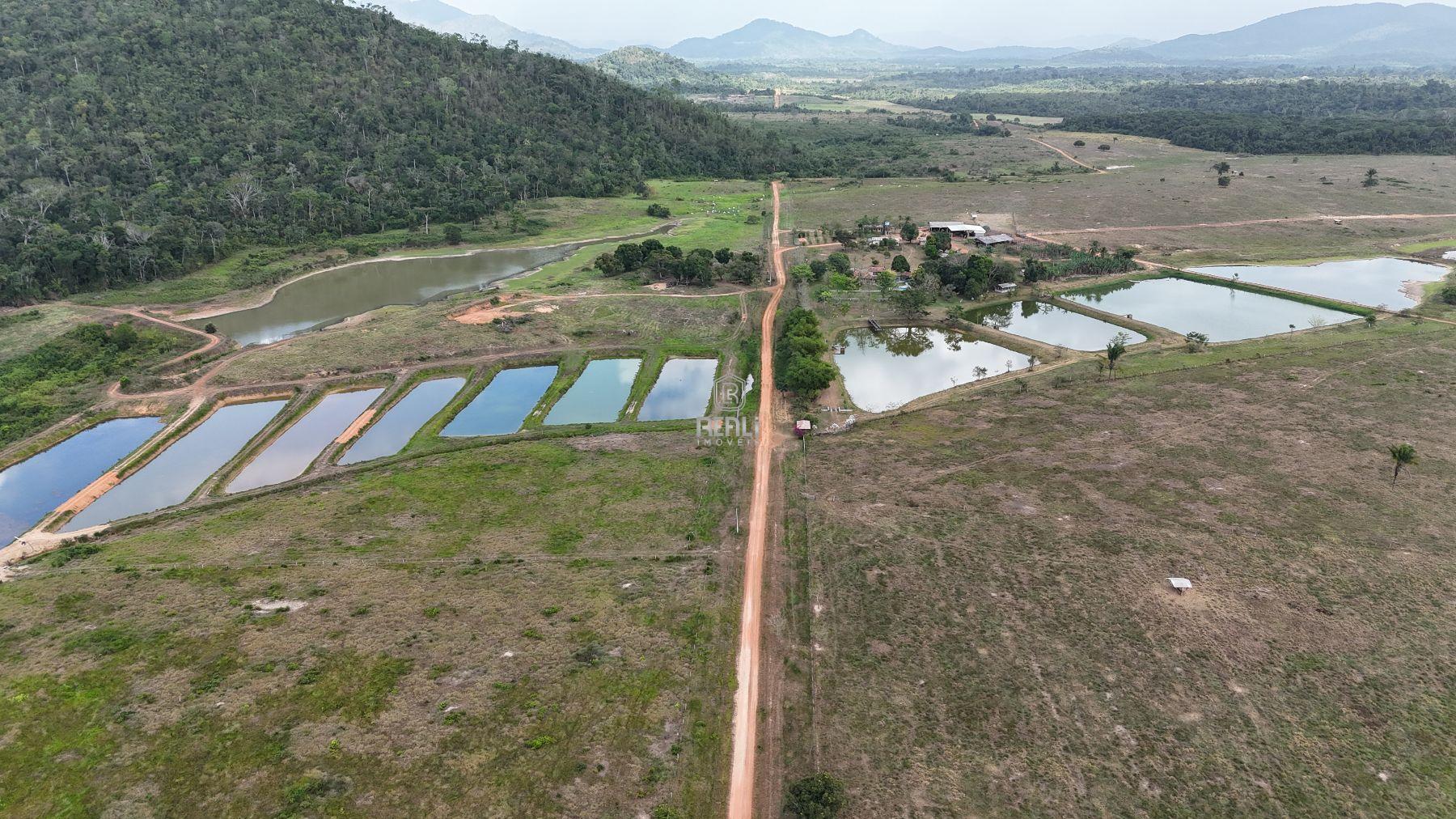 FAZENDA EM RORAIMA DE 7251 HECTARES