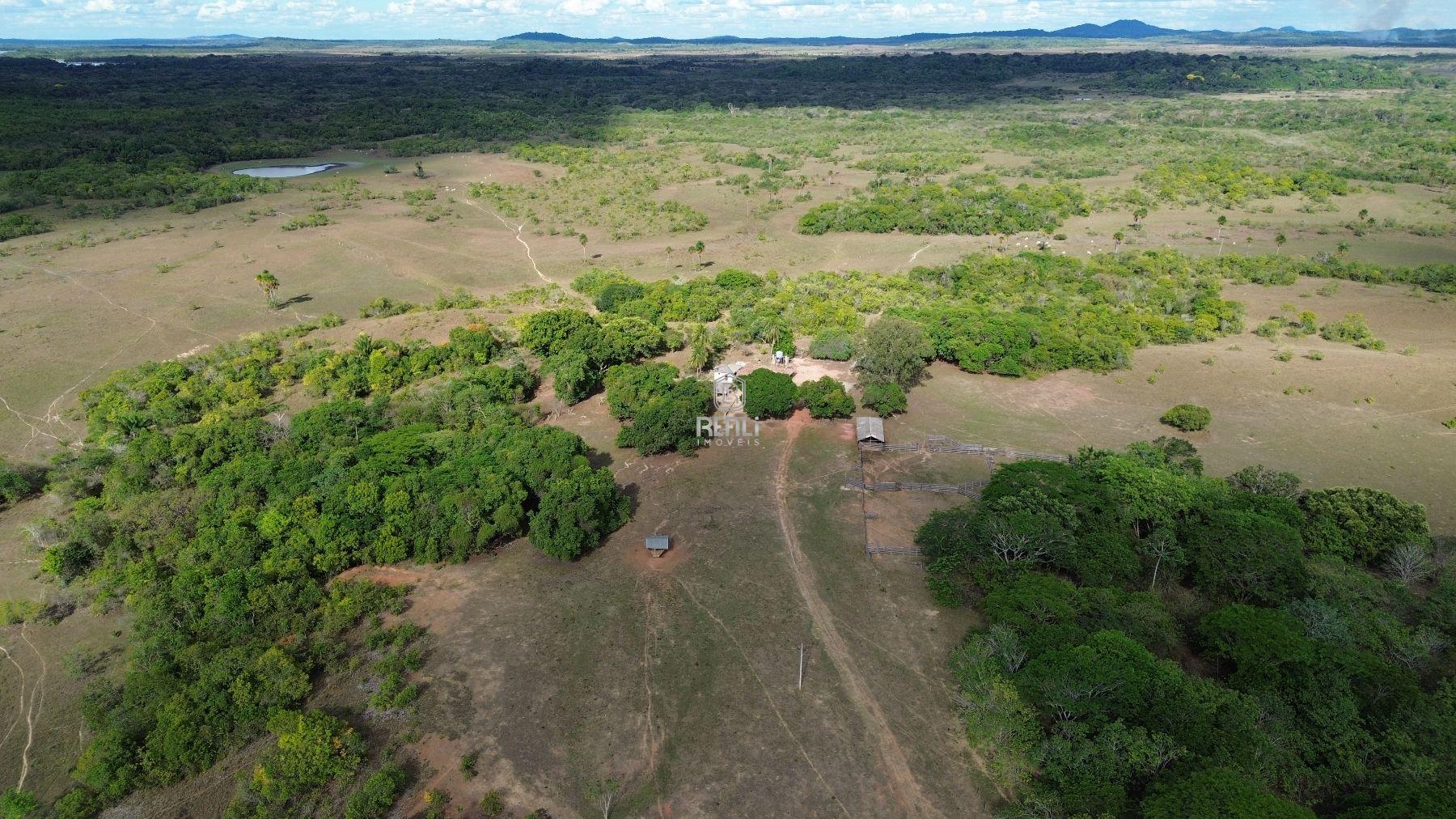 FAZENDA DE 2050 HECTARES EM RORAIMA
