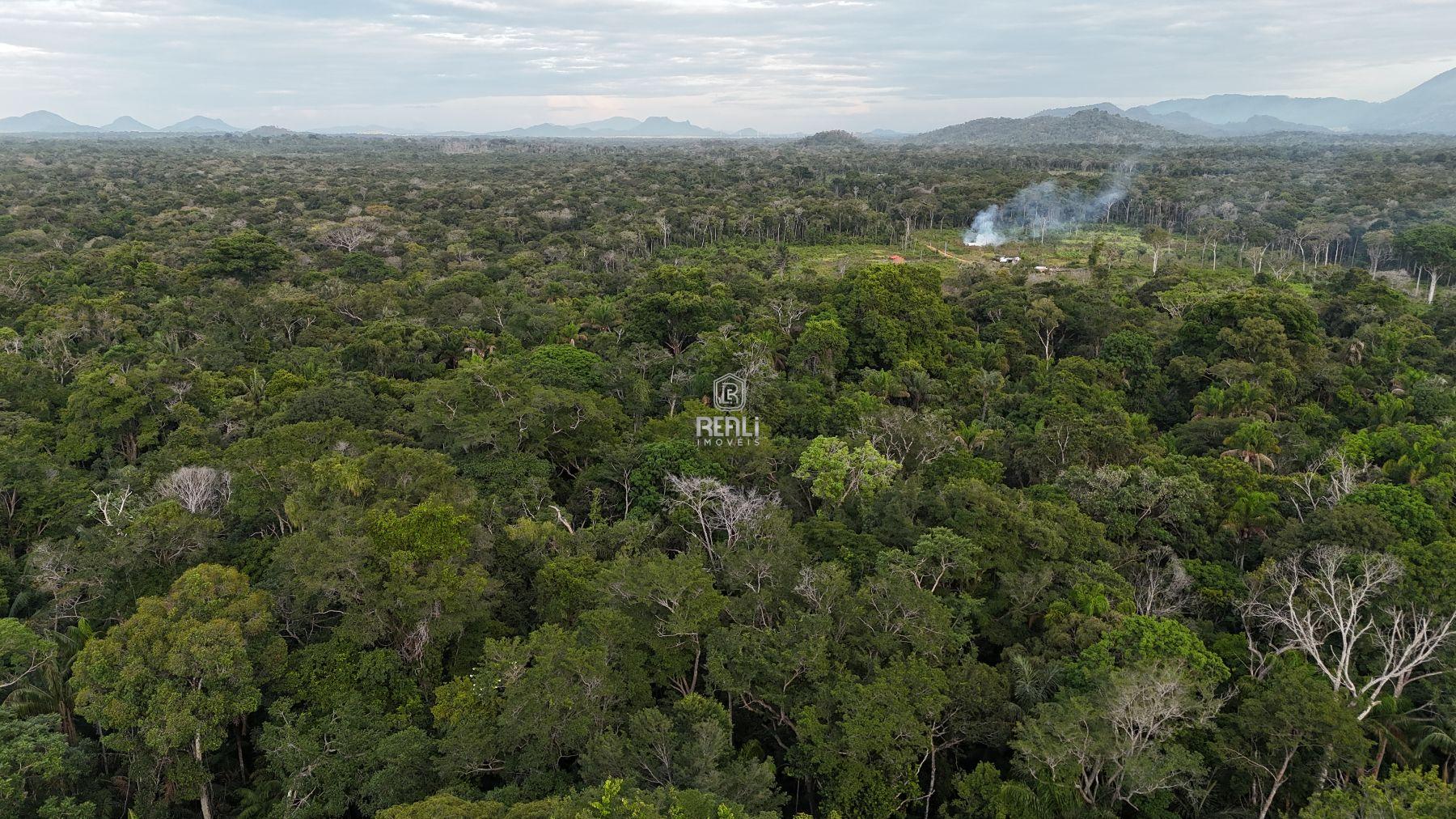 FAZENDA DE 533 HECTARES EM RORAIMA
