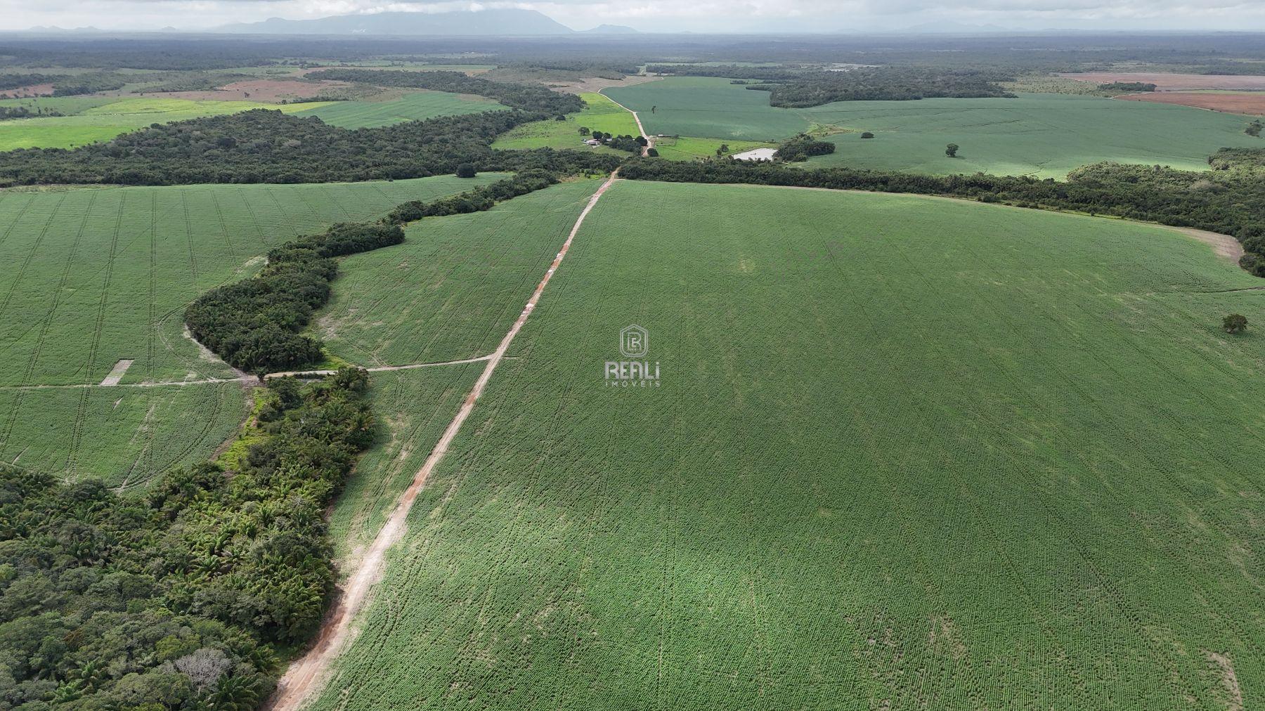 FAZENDA DE 1420 HECTARES EM RORAIMA