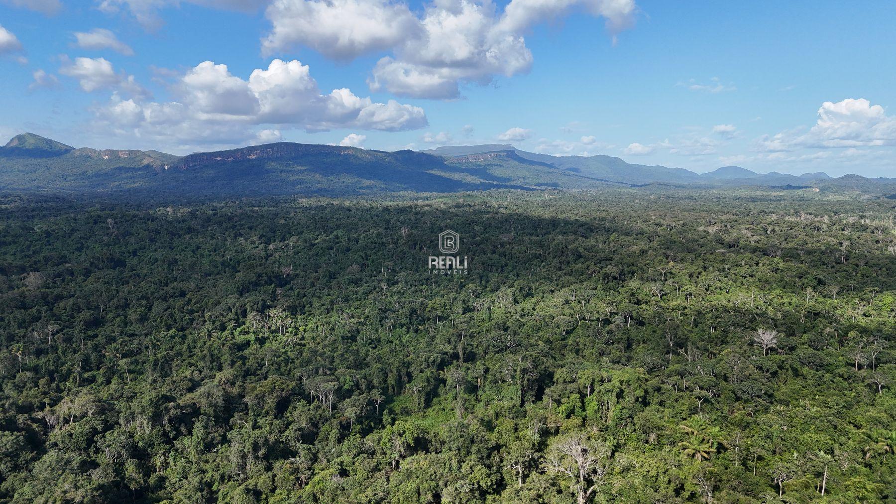 Fazenda 1000 HECTARES - TRAIRÃO - AMAJARI  RR
