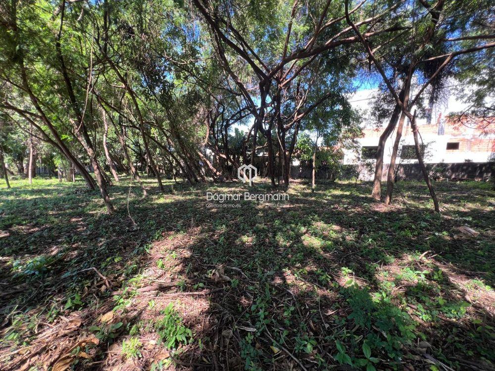 Imobiliria Dagmar em Toledo PR