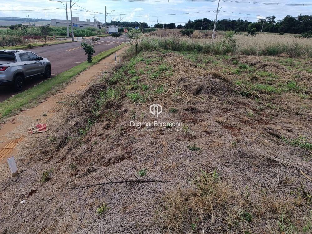 Imobiliria Dagmar em Toledo PR