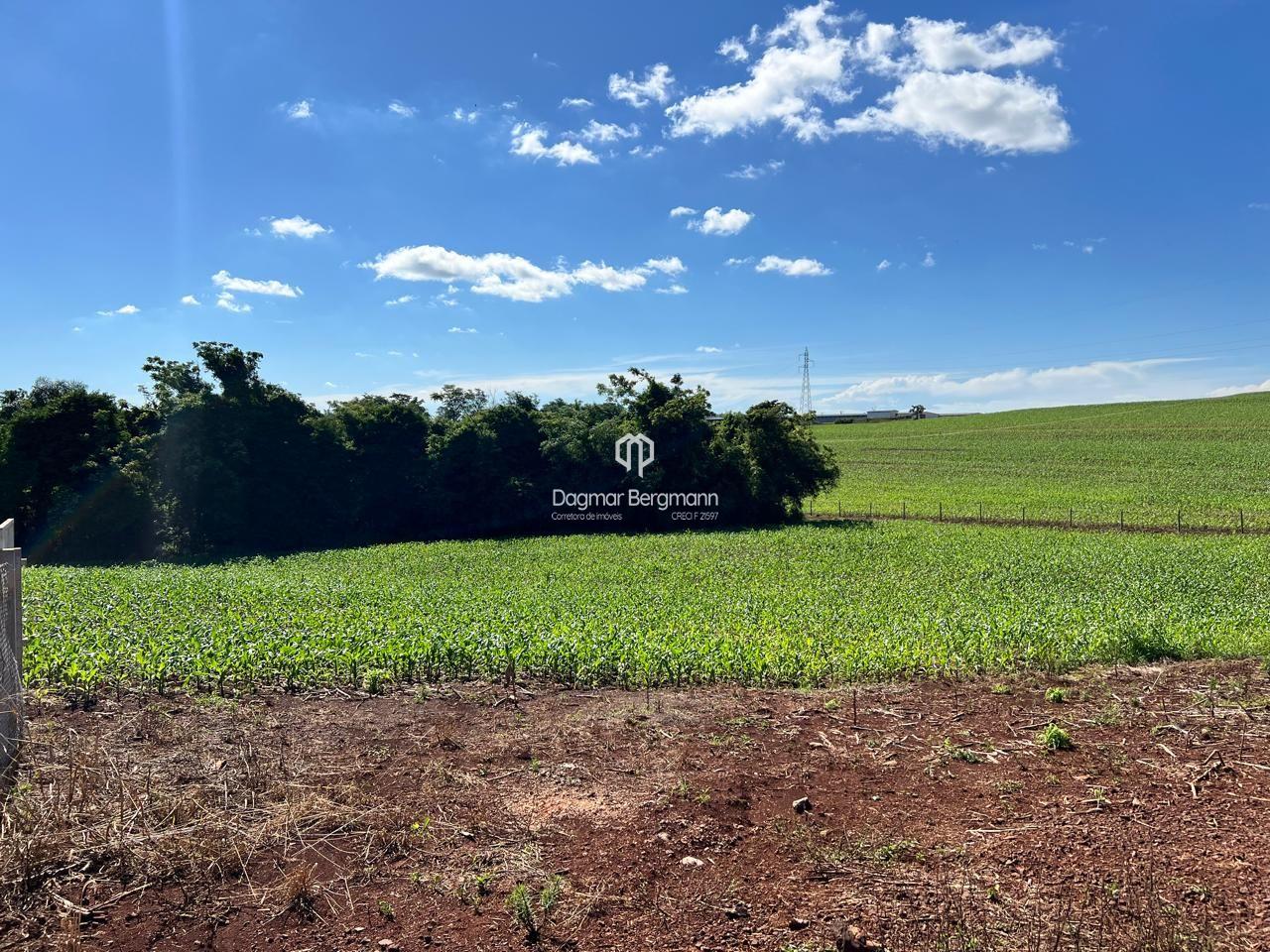 Imobiliria Dagmar em Toledo PR