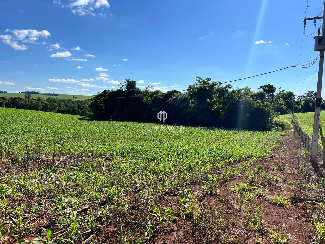 Imobiliria Dagmar em Toledo PR