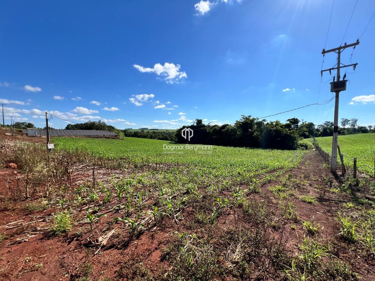 Imobiliria Dagmar em Toledo PR