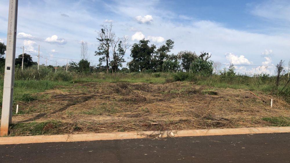 TERRENO PROXIMO AO MARCO DAS TRÊS FRONTEIRAS