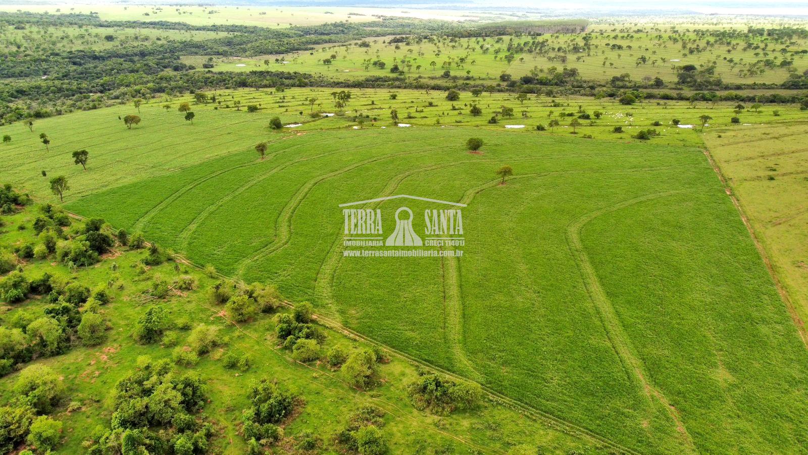Área Rural para Venda na cidade de Jutí- MS.