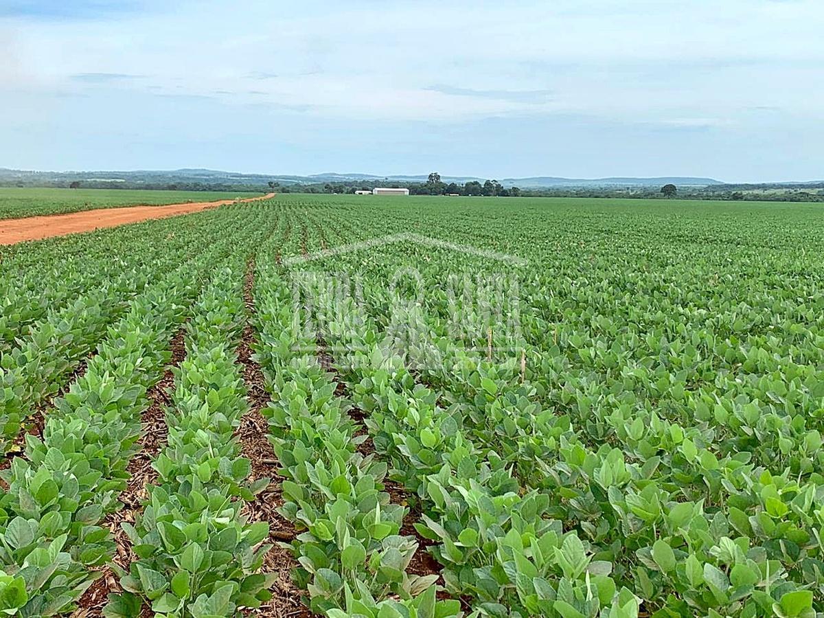 Área Rural para Venda em Guia Lopes da Laguna / MS no bairro R...