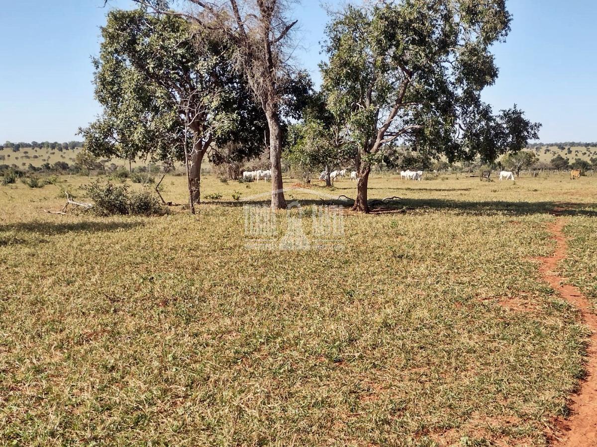 Área Rural para Venda em Nioaque / MS no bairro Rural