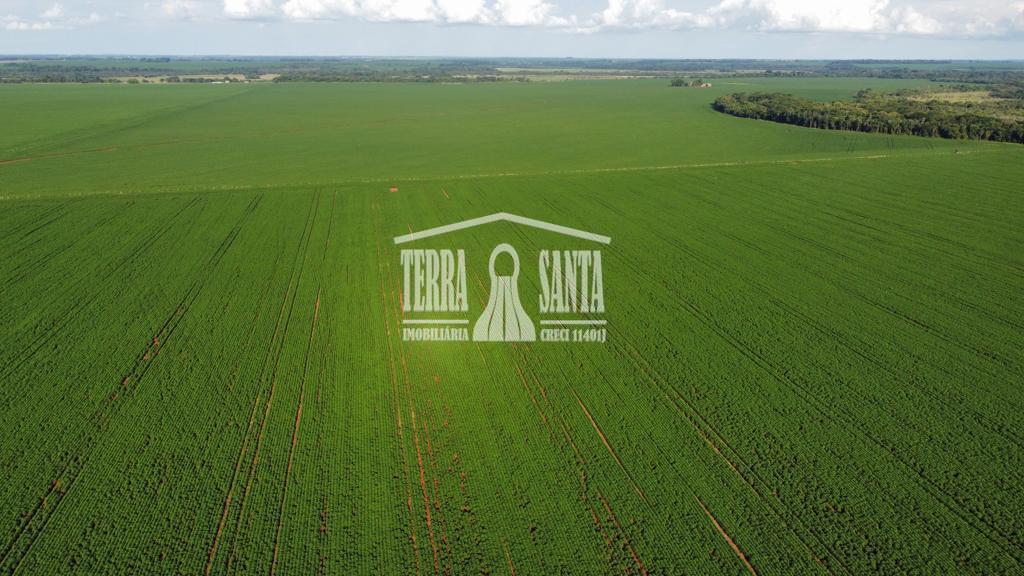 Área Rural para Venda em Itaporã / MS no bairro Rural