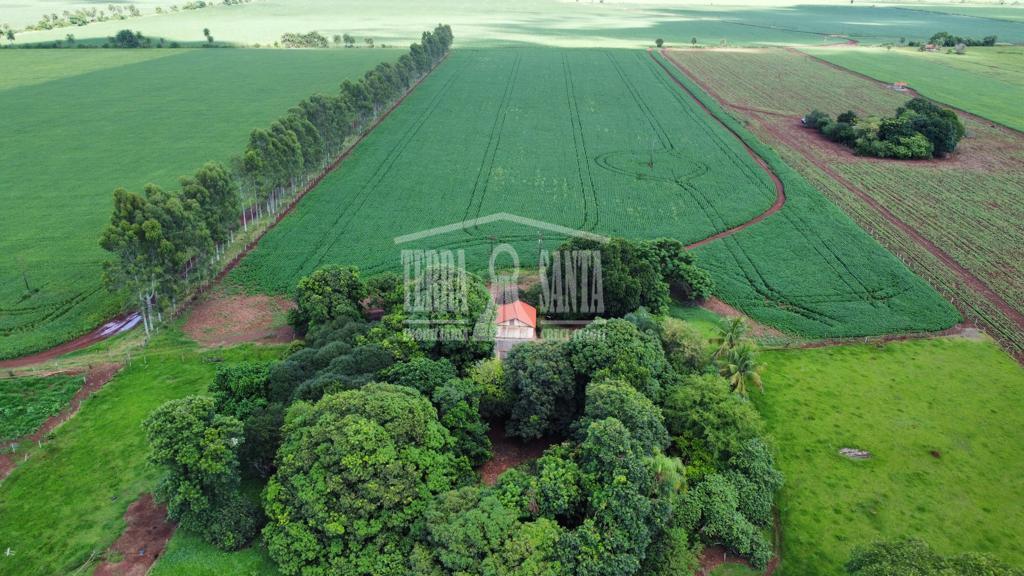 Área Rural para Venda em Dourados   MS no bairro Rural