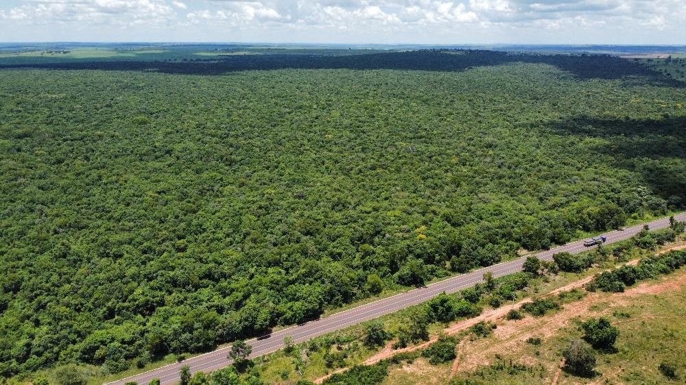 Arrendamento dispon?vel, ?rea bruta de frente para br 267