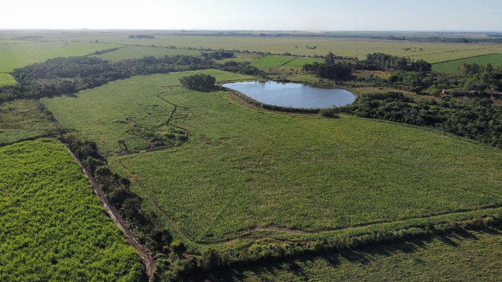 Área de 48 hectares na beira da MS-276