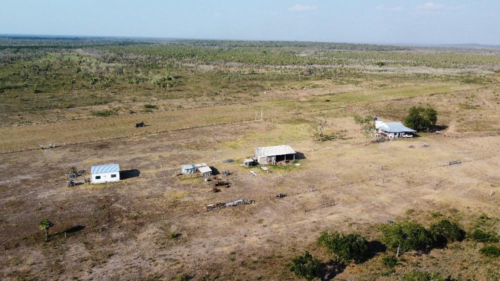 Arrendamento para pecuária em Corumbá / MS no bairro Pantanal ...