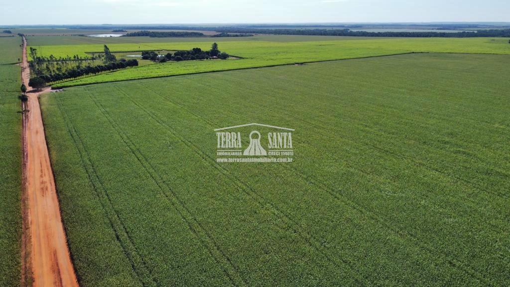 Área Rural à venda, 501 hectares município de RIO BRILHANTE - MS.