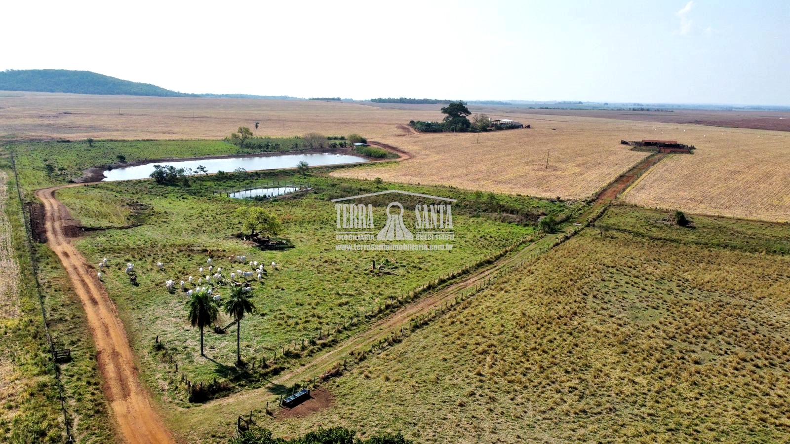 Área Rural para Venda no município de Sidrolândia  MS.