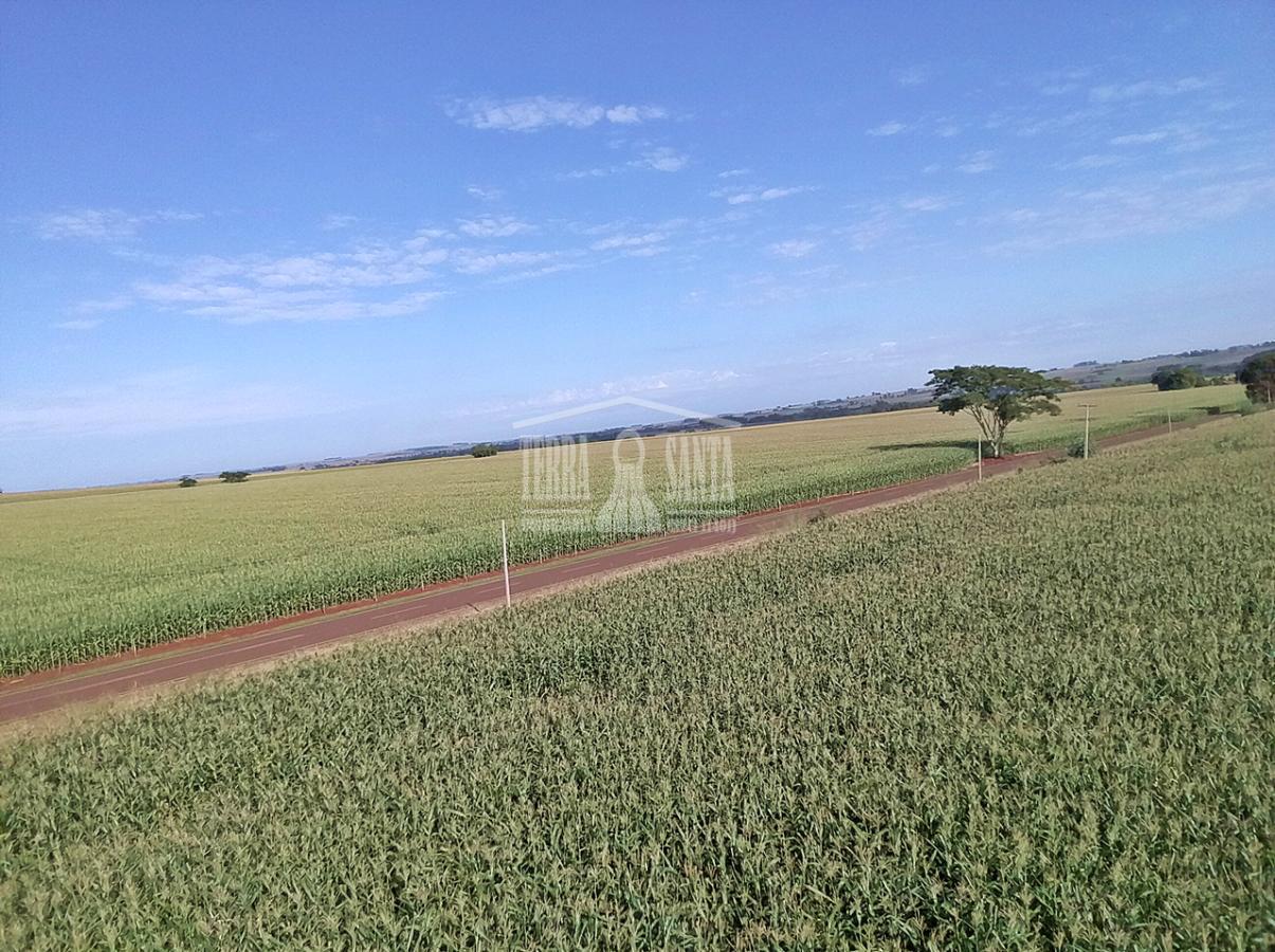 Área Rural para Venda em Douradina / MS no bairro Rural