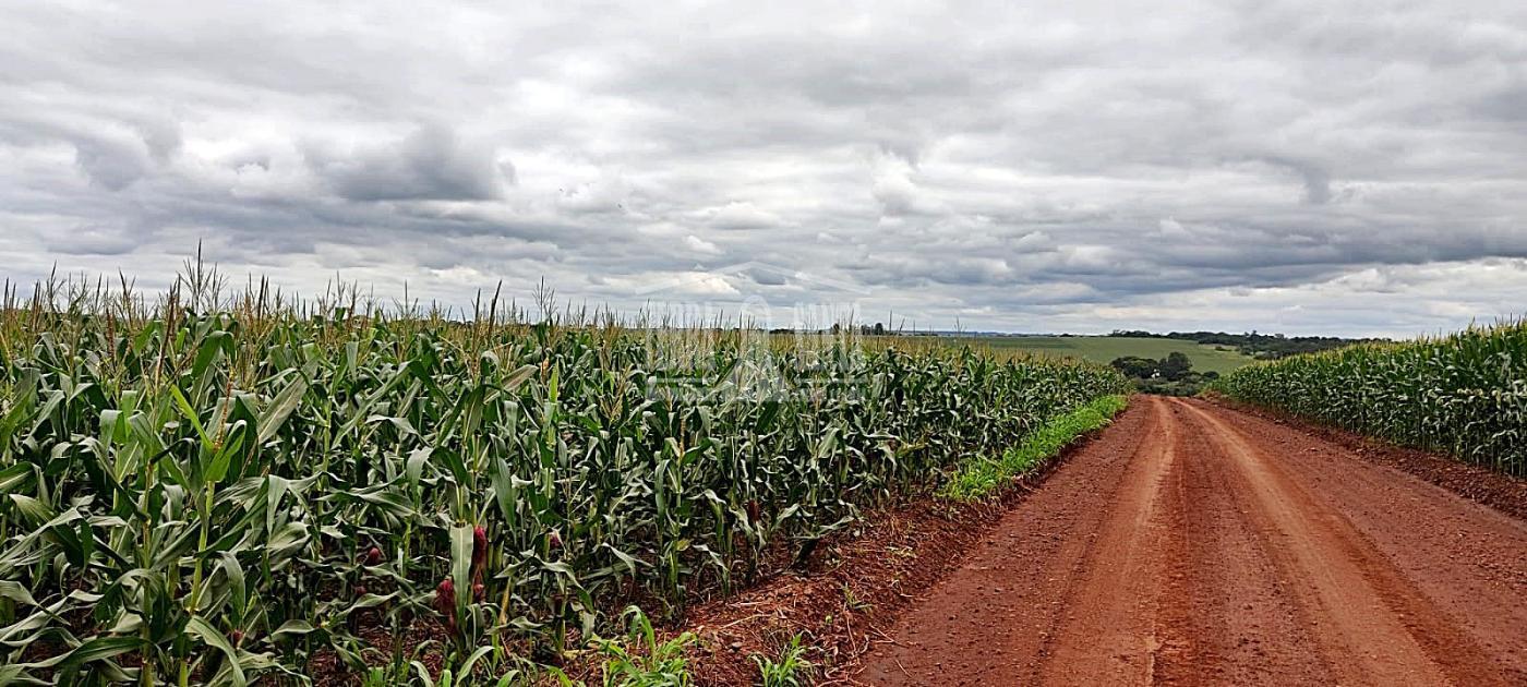 Área Rural para Venda em Itaporã / MS no bairro Rural